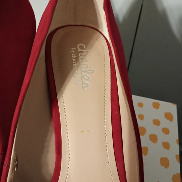 Size 10 Fabianelli Boots & Size 10 Red Charles David Heels - Picture 9 of 11